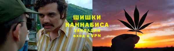 ПСИЛОЦИБИНОВЫЕ ГРИБЫ Алексеевка