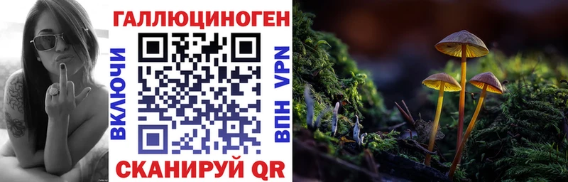 kraken зеркало  где продают   Калининск  Галлюциногенные грибы Cubensis 